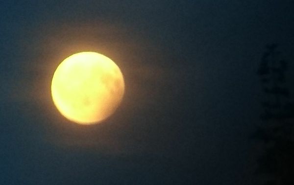 Partielle Mondfinsternis